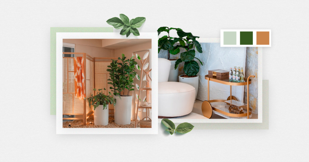 Plantas na decoração